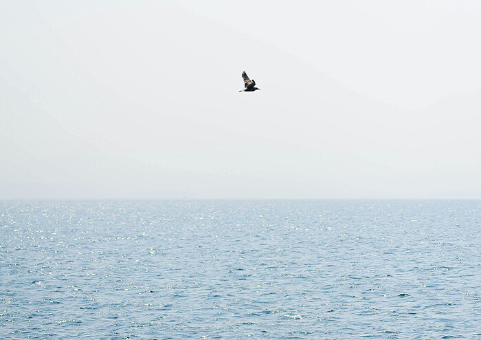 [큐레이션] 이 시가 무엇을 뚫고 여기까지 왔는지 | 예스24