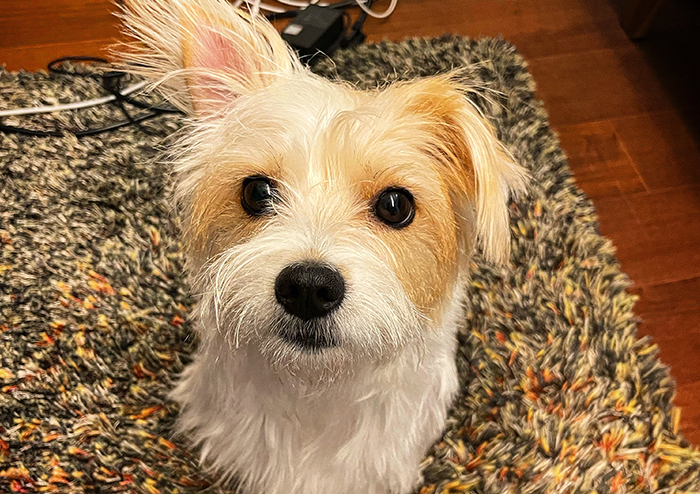 [김혜리 칼럼] 아름다움 ① | 예스24