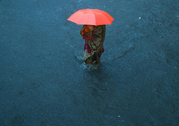 [나도 큐레이터] 망한 사랑만을 원합니다 | 예스24