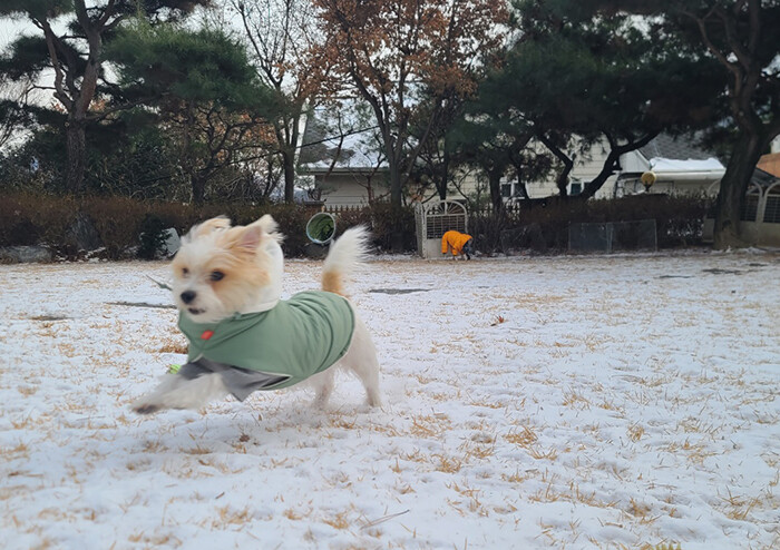 [김혜리 칼럼] 아름다움② | 예스24