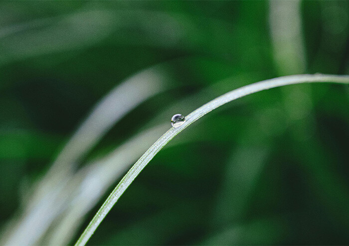 [큐레이션] 작은 목소리를 지나치지 않기 | 예스24