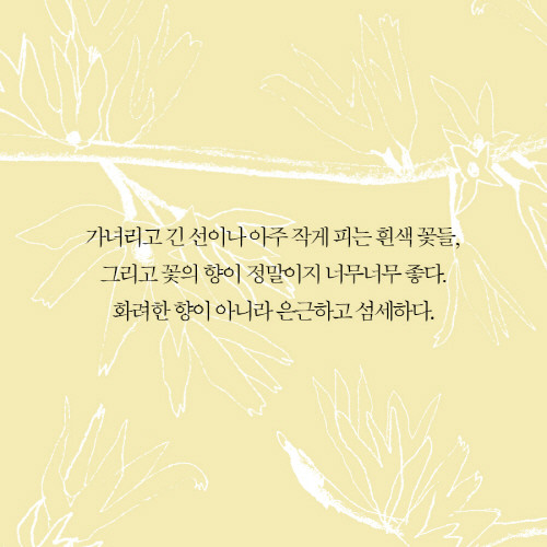 식물그리고사람_이카드010.jpg