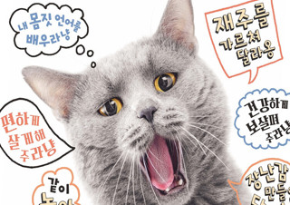 [내 집사가 돼줄고양?] 고양이 키우기 가이드북 | YES24 채널예스