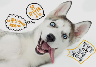[내 가족이 되어주개!] 강아지 키우기 가이드북 | YES24 채널예스