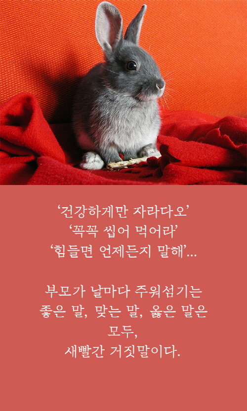 컷10.jpg