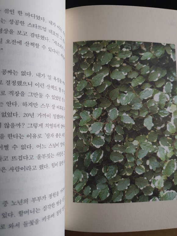 컨텐츠 이미지