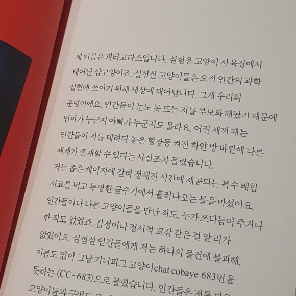 컨텐츠 이미지