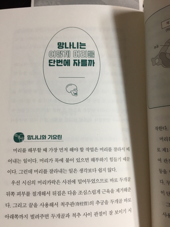 컨텐츠 이미지