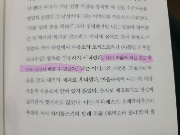 컨텐츠 이미지