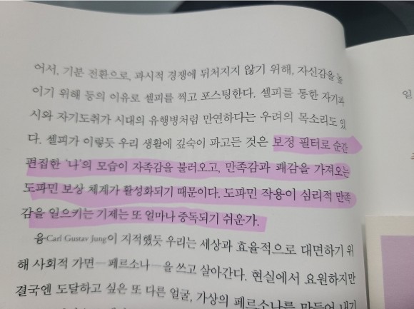 컨텐츠 이미지