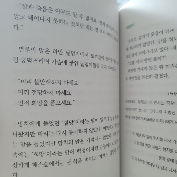 컨텐츠 이미지