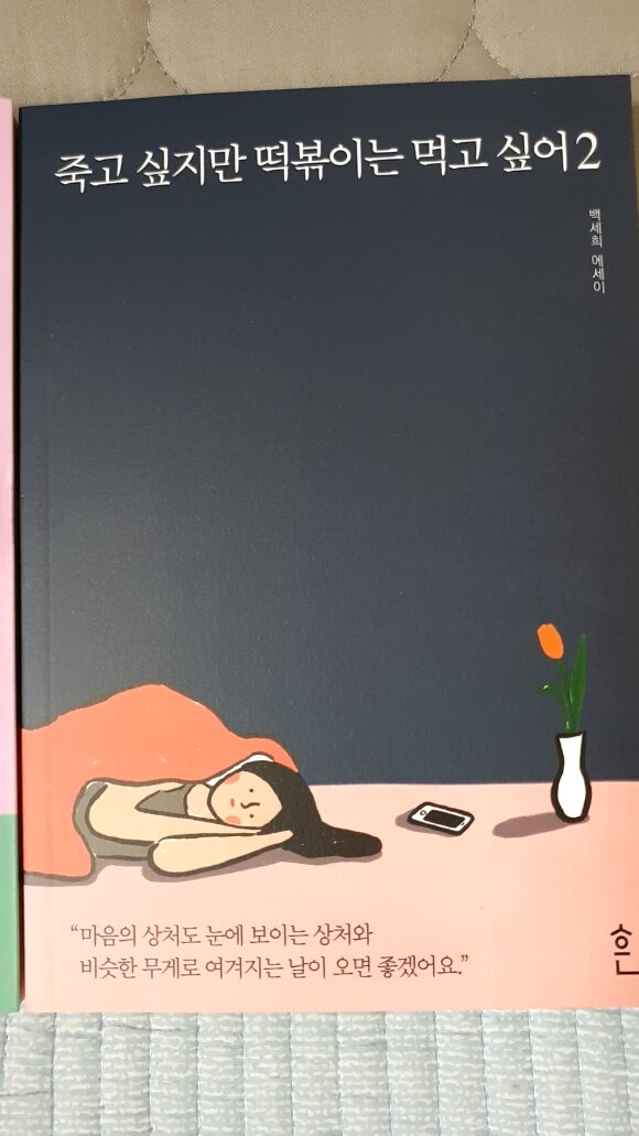 컨텐츠 이미지