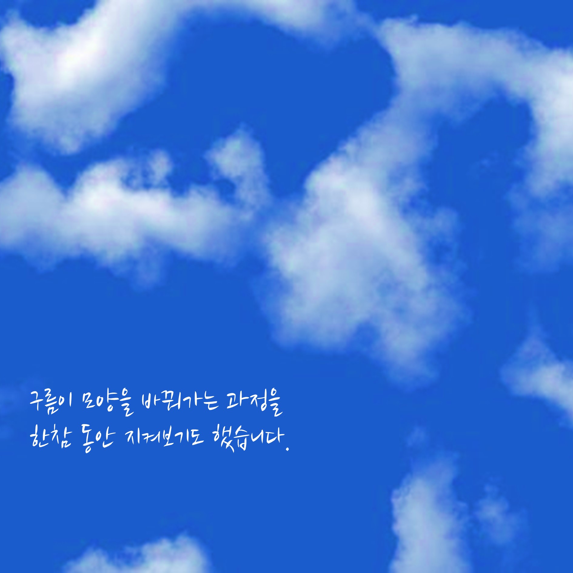 카드뉴스6