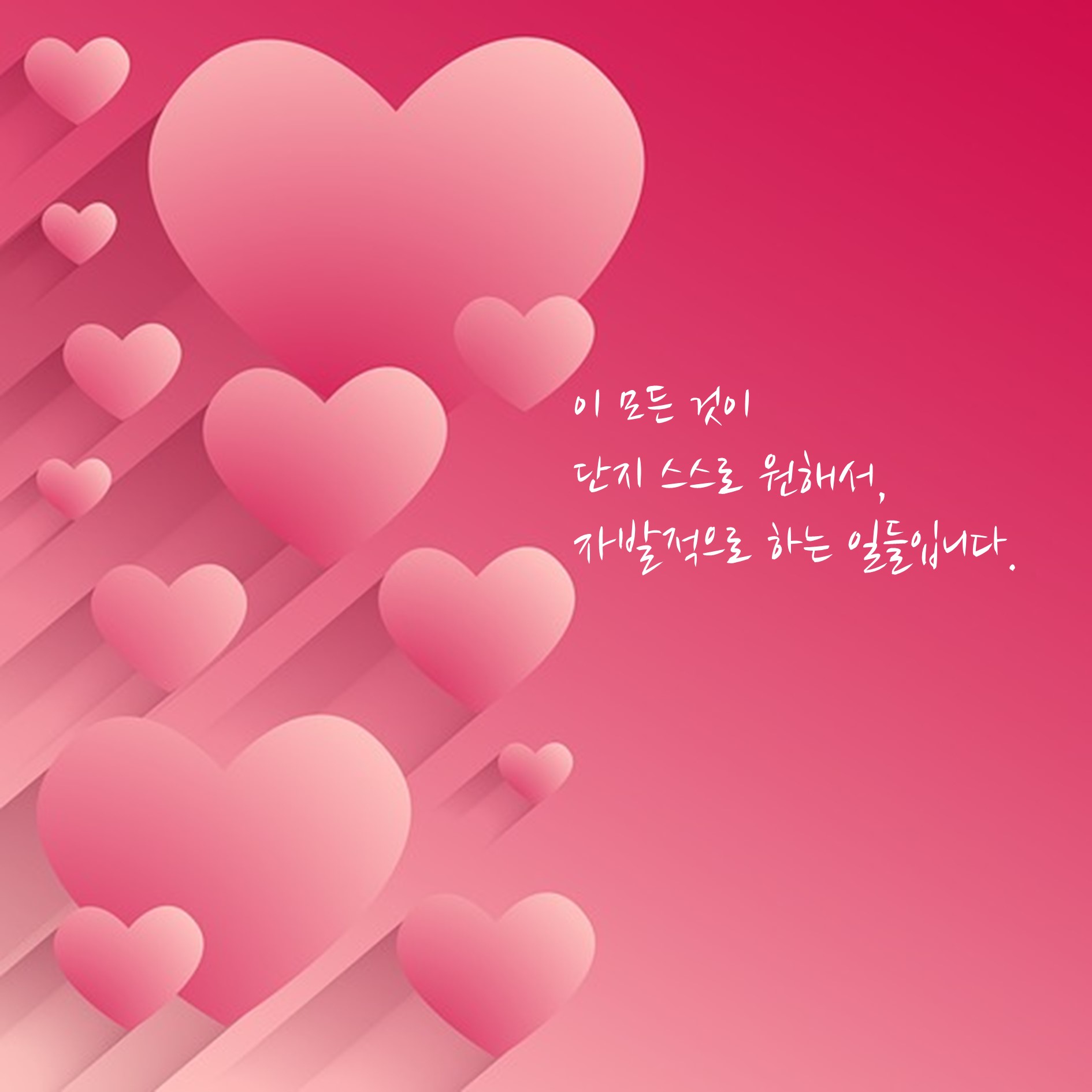 카드뉴스11