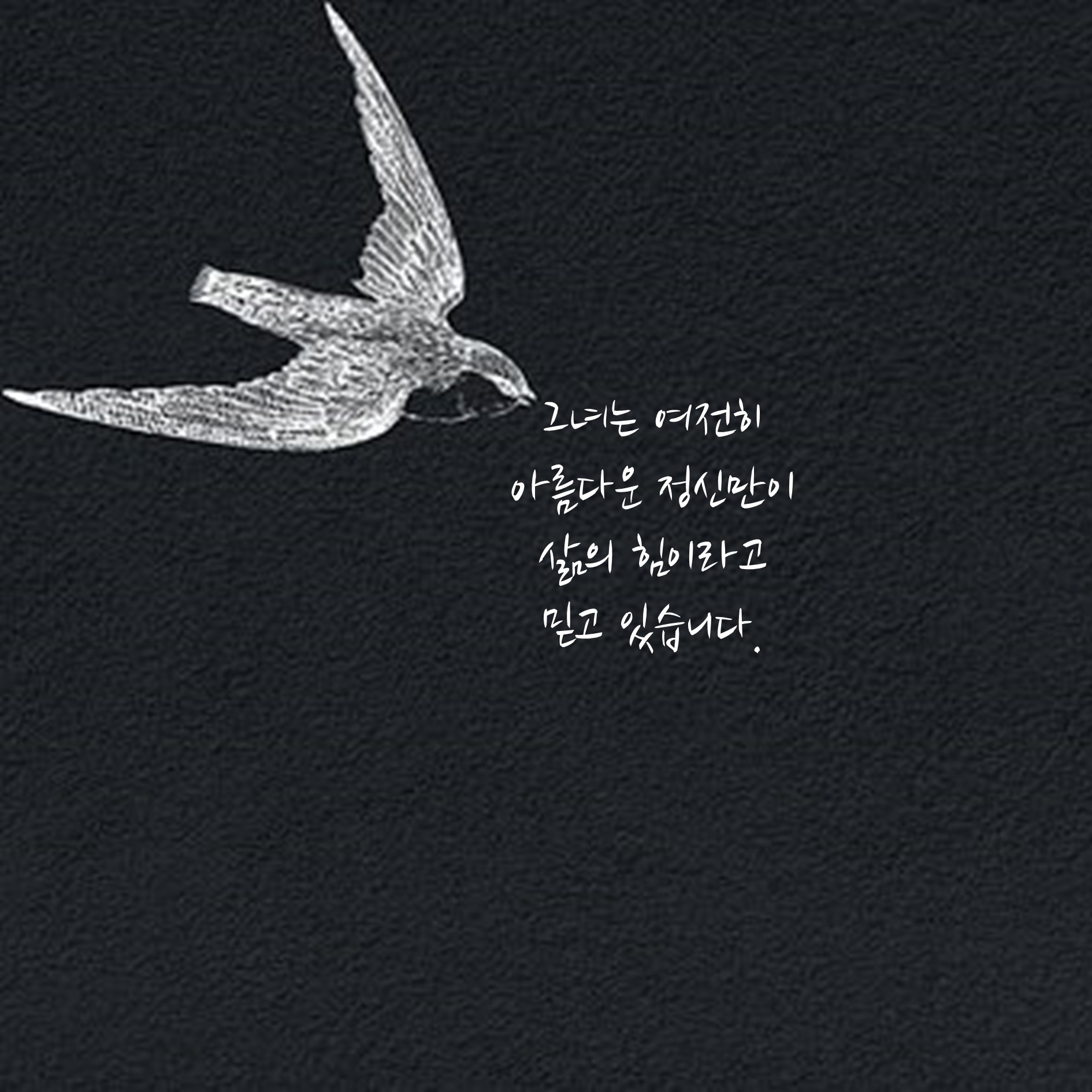 카드뉴스13