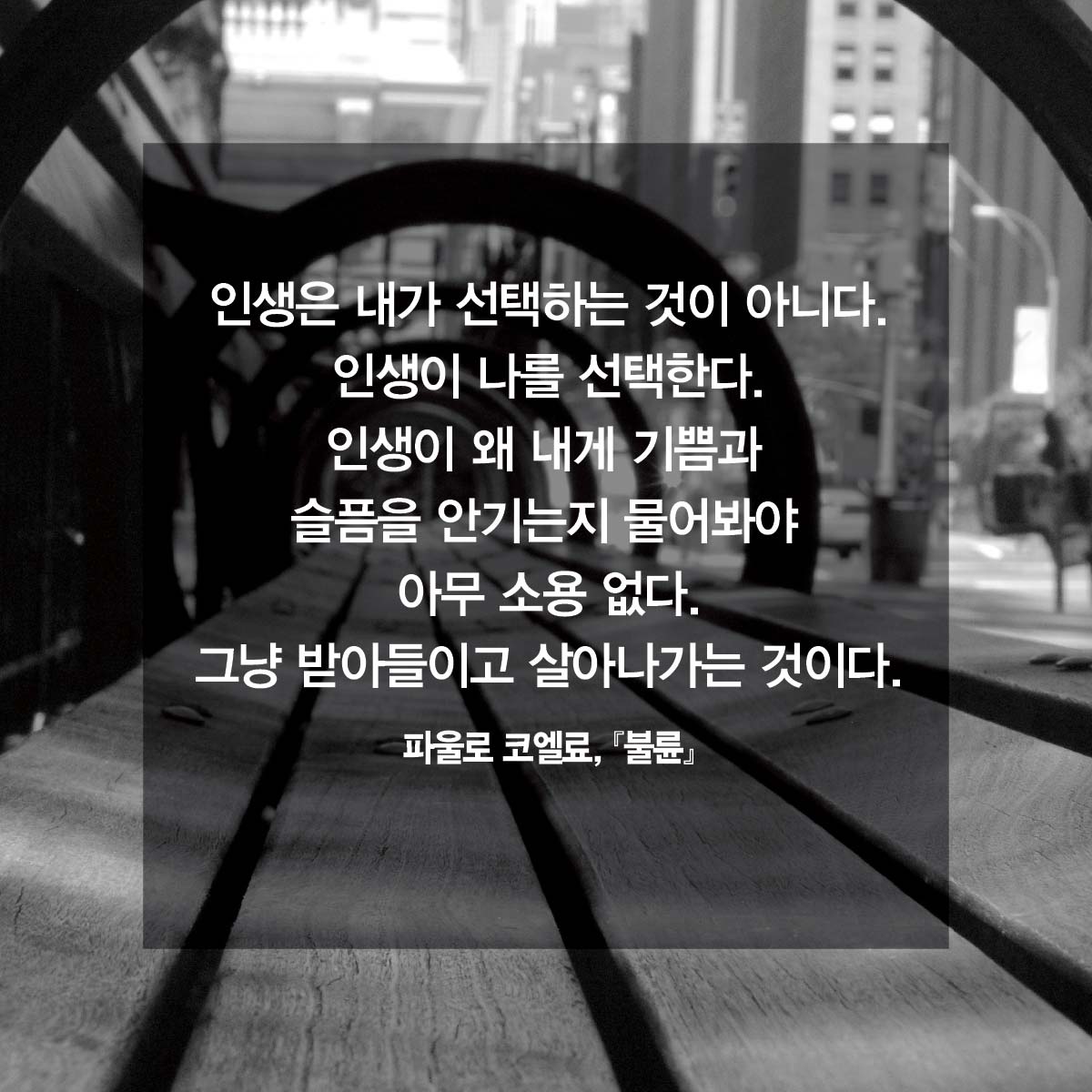 카드뉴스2