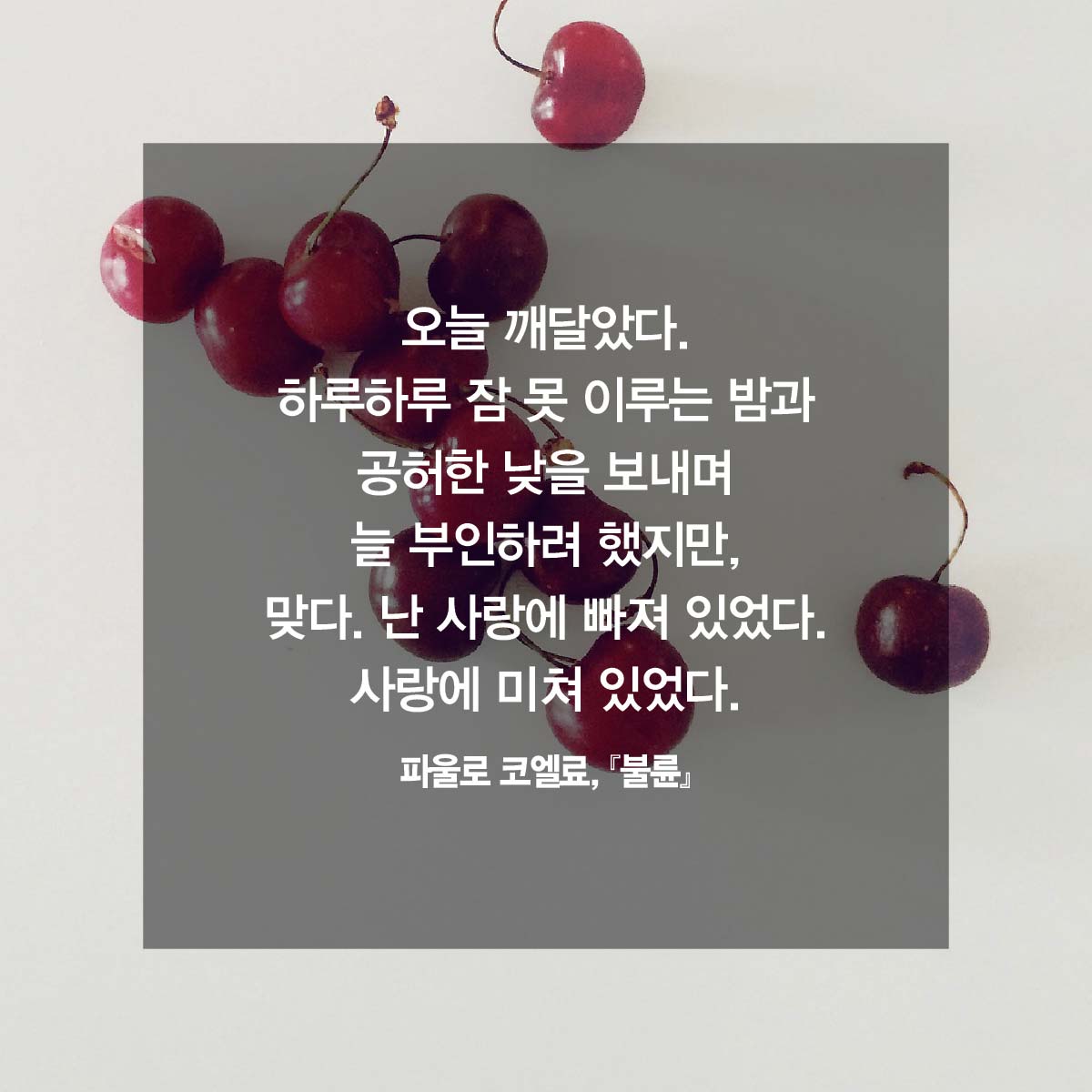 카드뉴스4