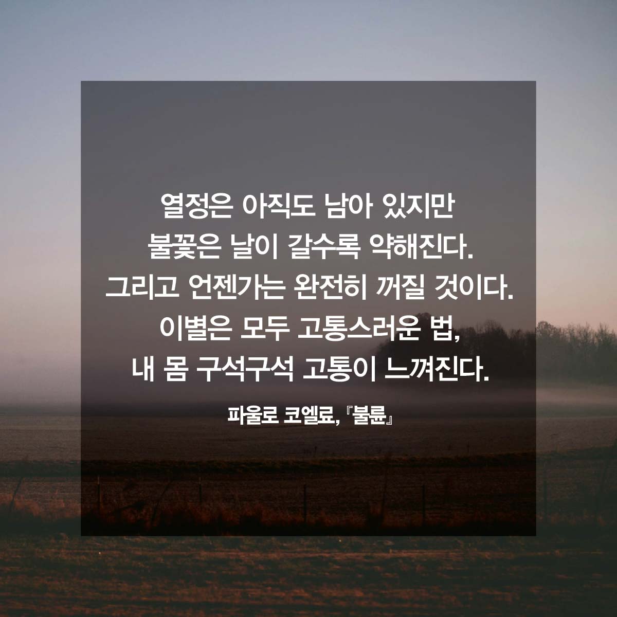 카드뉴스6