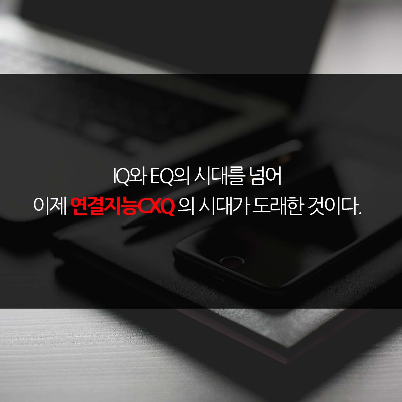 카드뉴스3