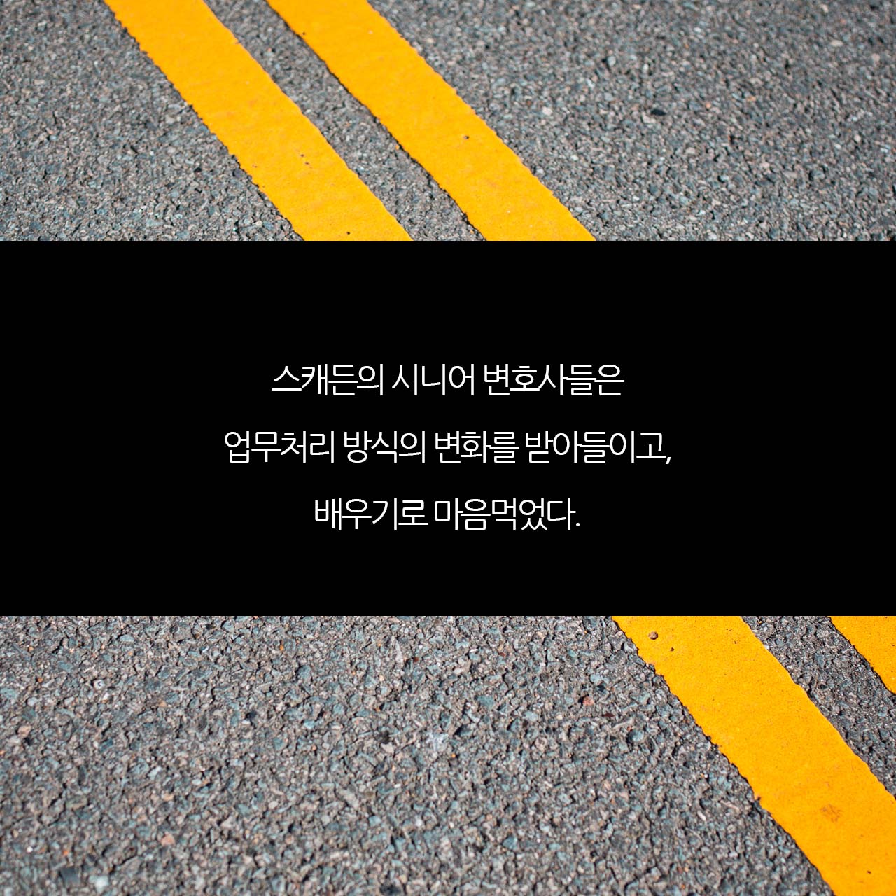 카드뉴스13