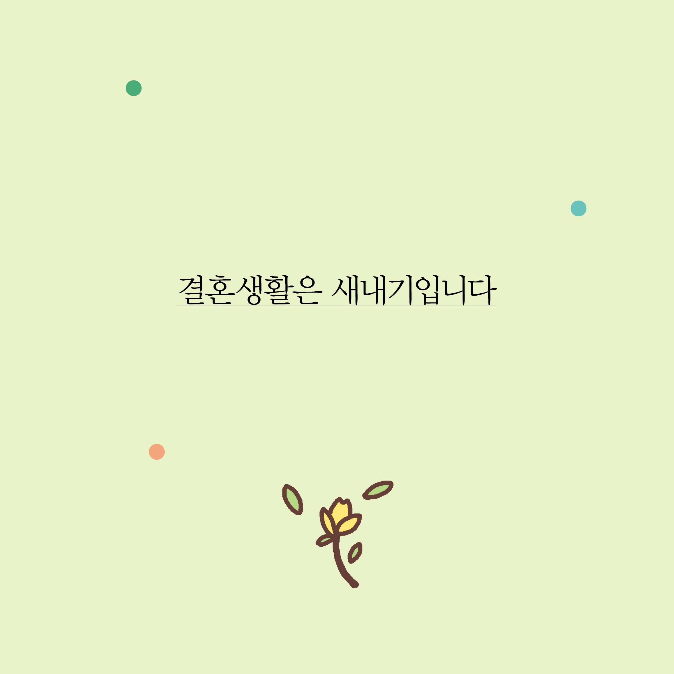 카드뉴스3