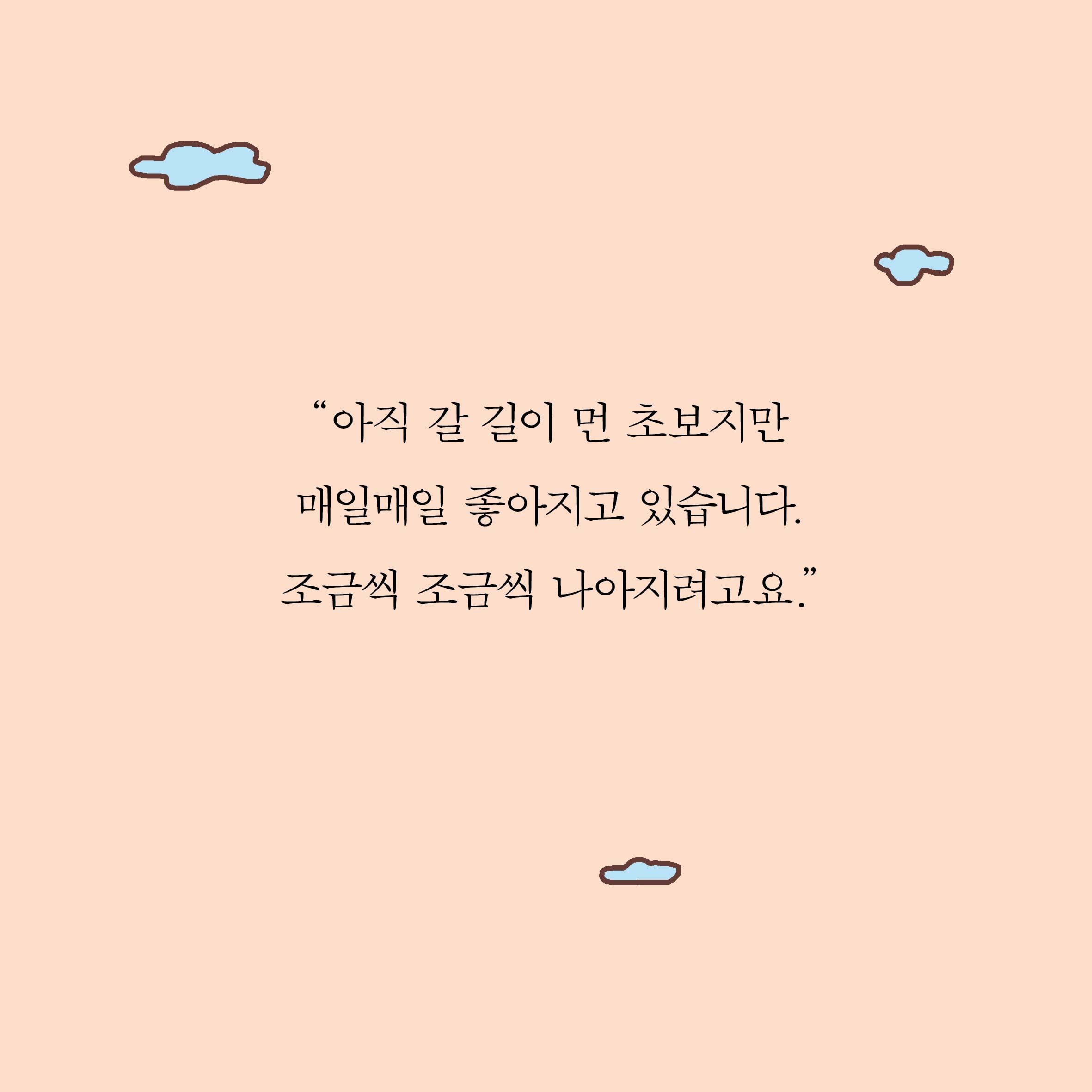 카드뉴스12