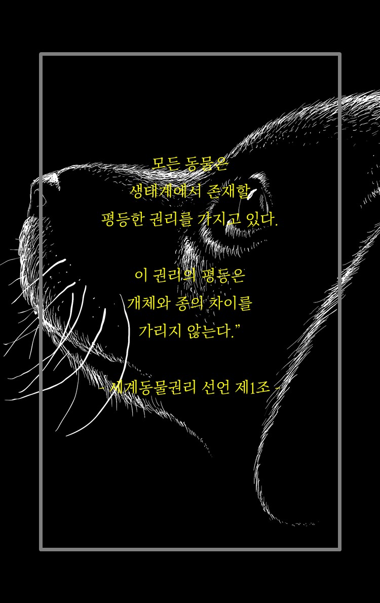 카드뉴스0