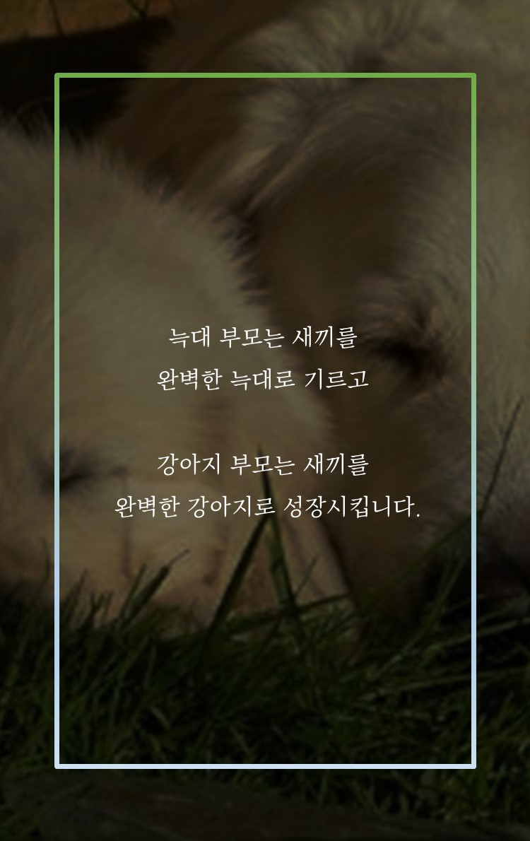 카드뉴스1