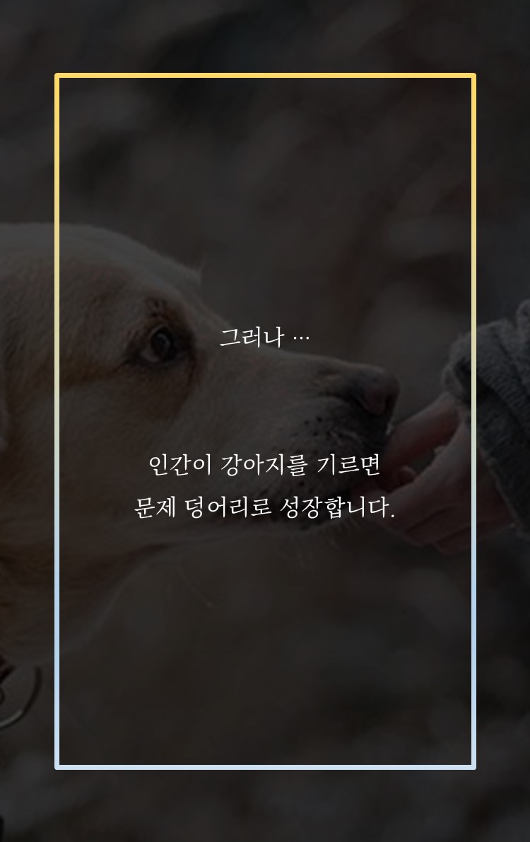 카드뉴스2