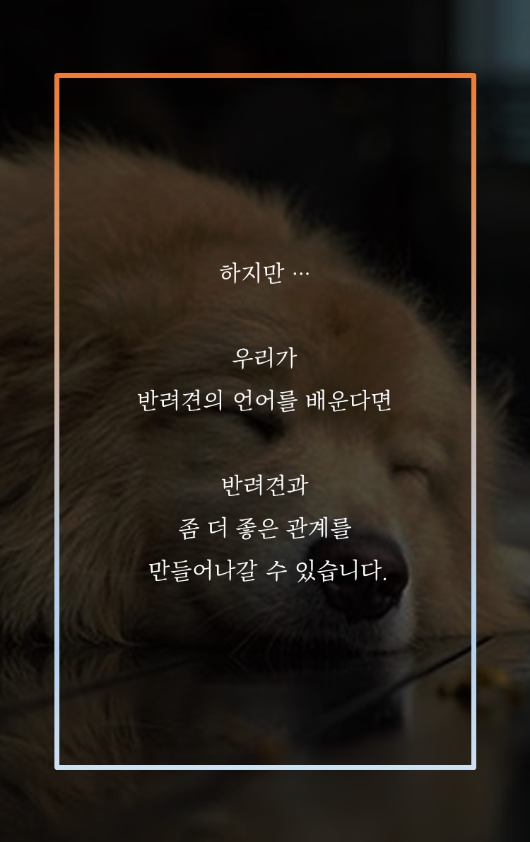 카드뉴스3