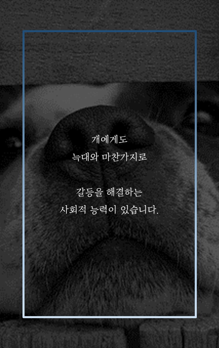 카드뉴스4