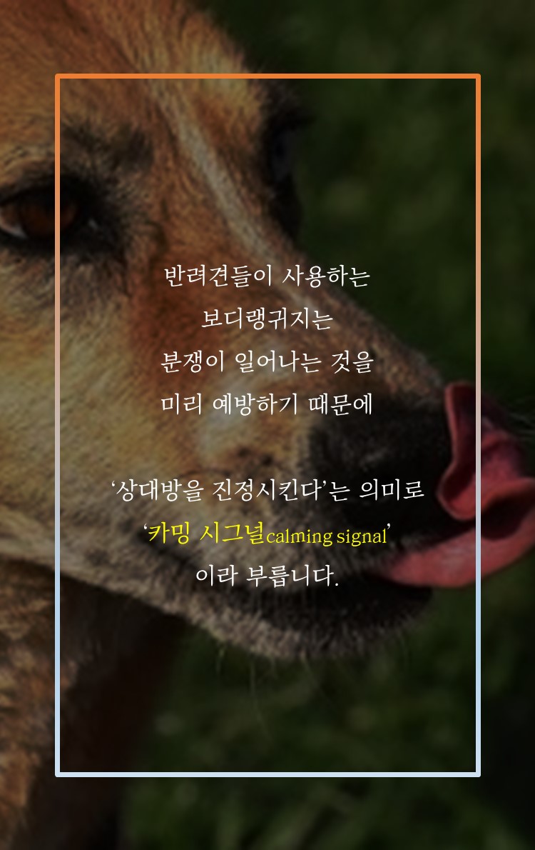 카드뉴스5