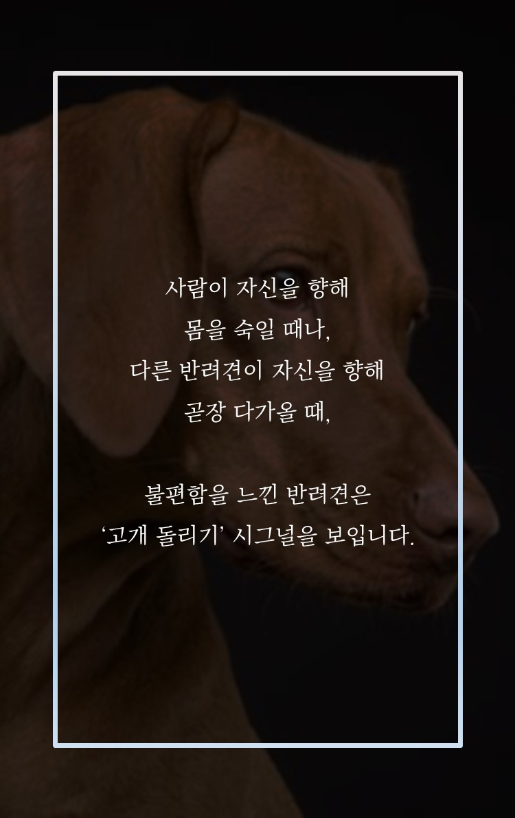 카드뉴스6