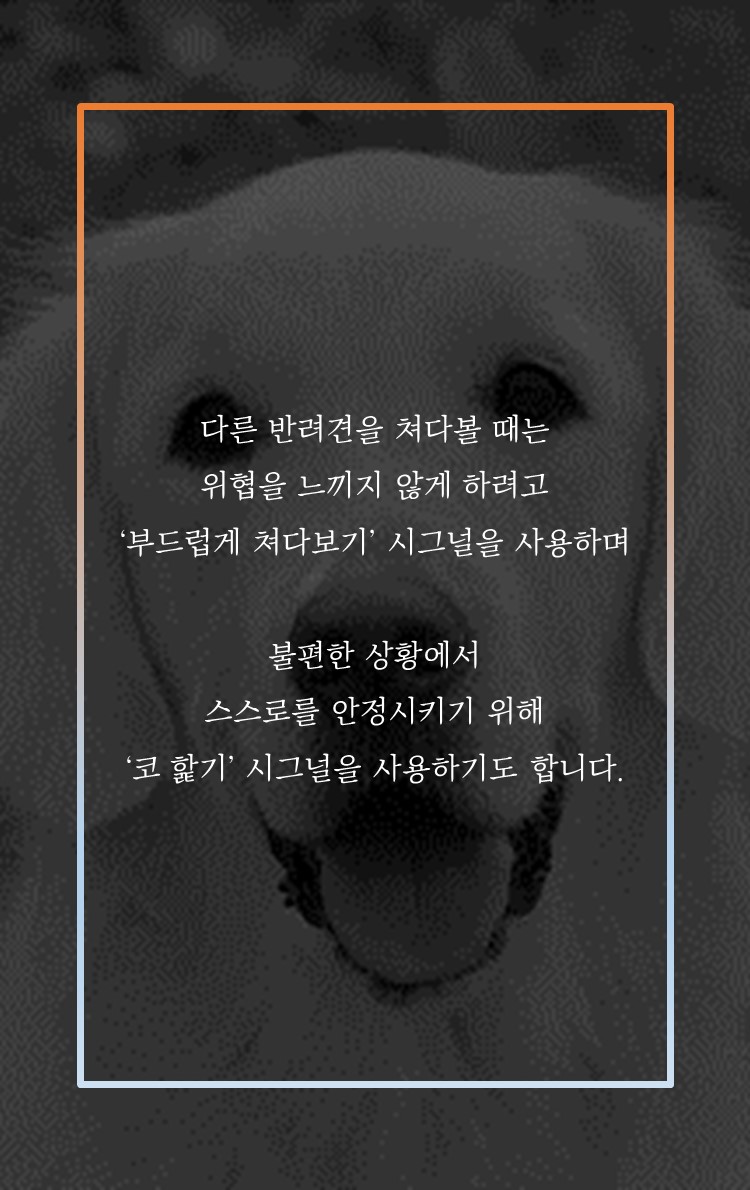 카드뉴스7