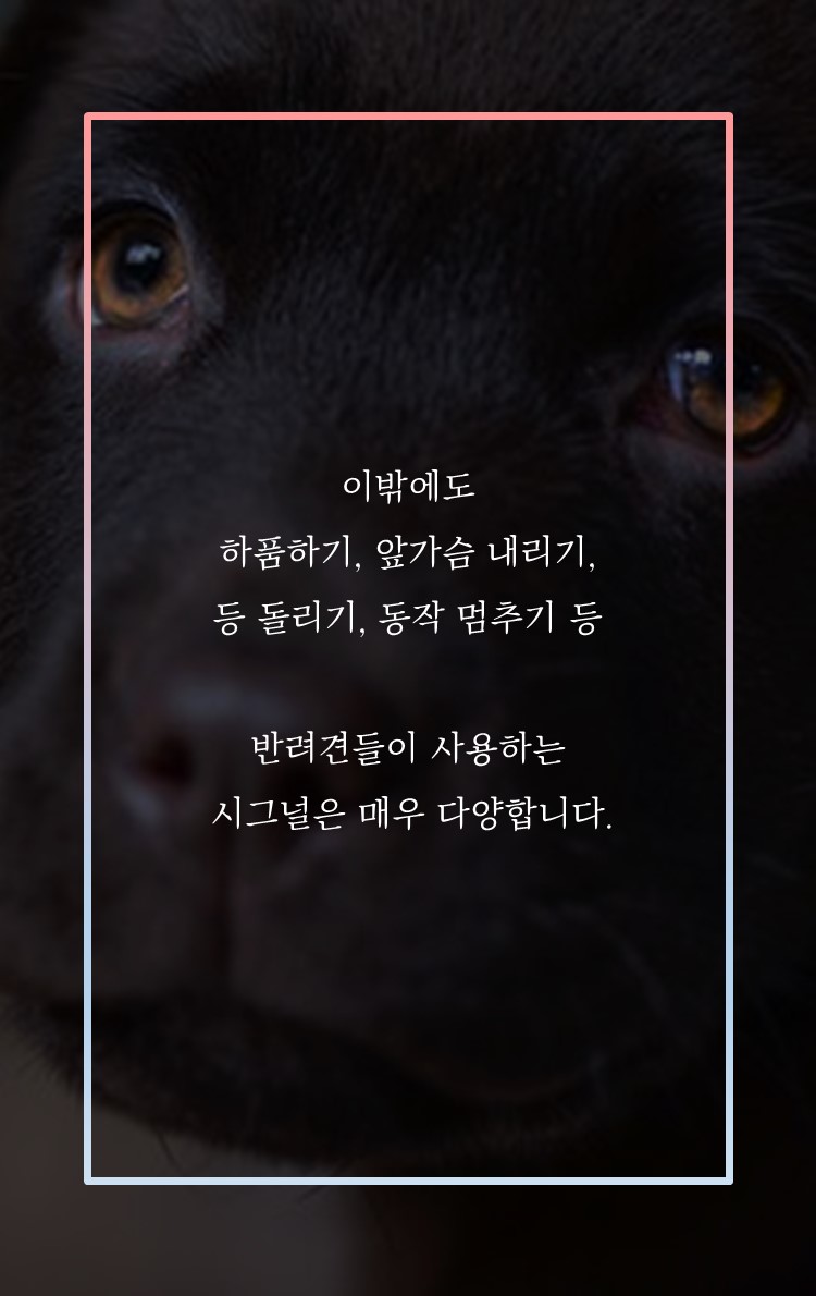 카드뉴스8