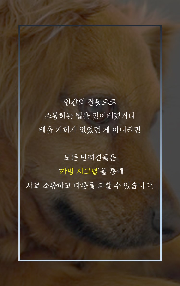 카드뉴스9