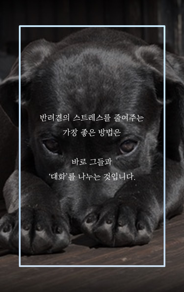 카드뉴스10