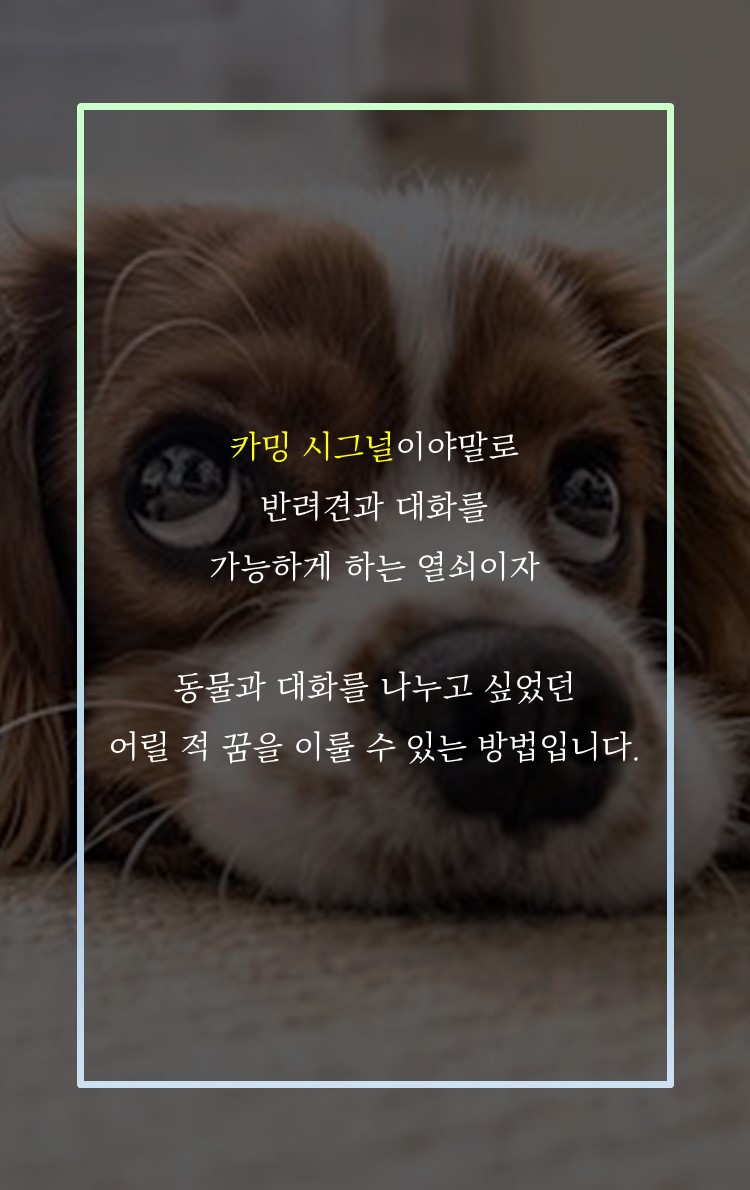 카드뉴스11