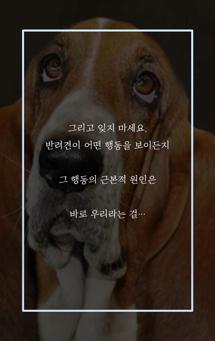 카드뉴스12