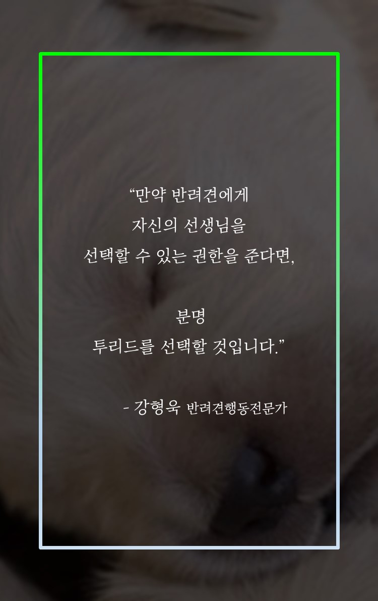 카드뉴스13