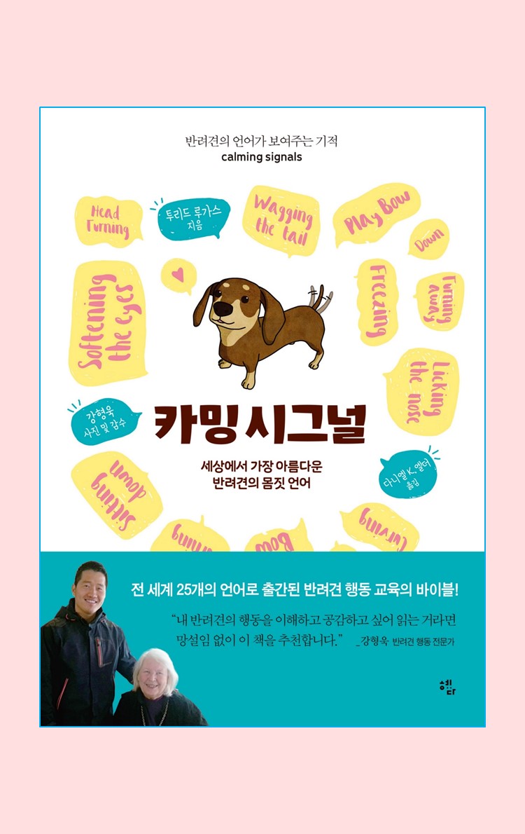 카드뉴스15
