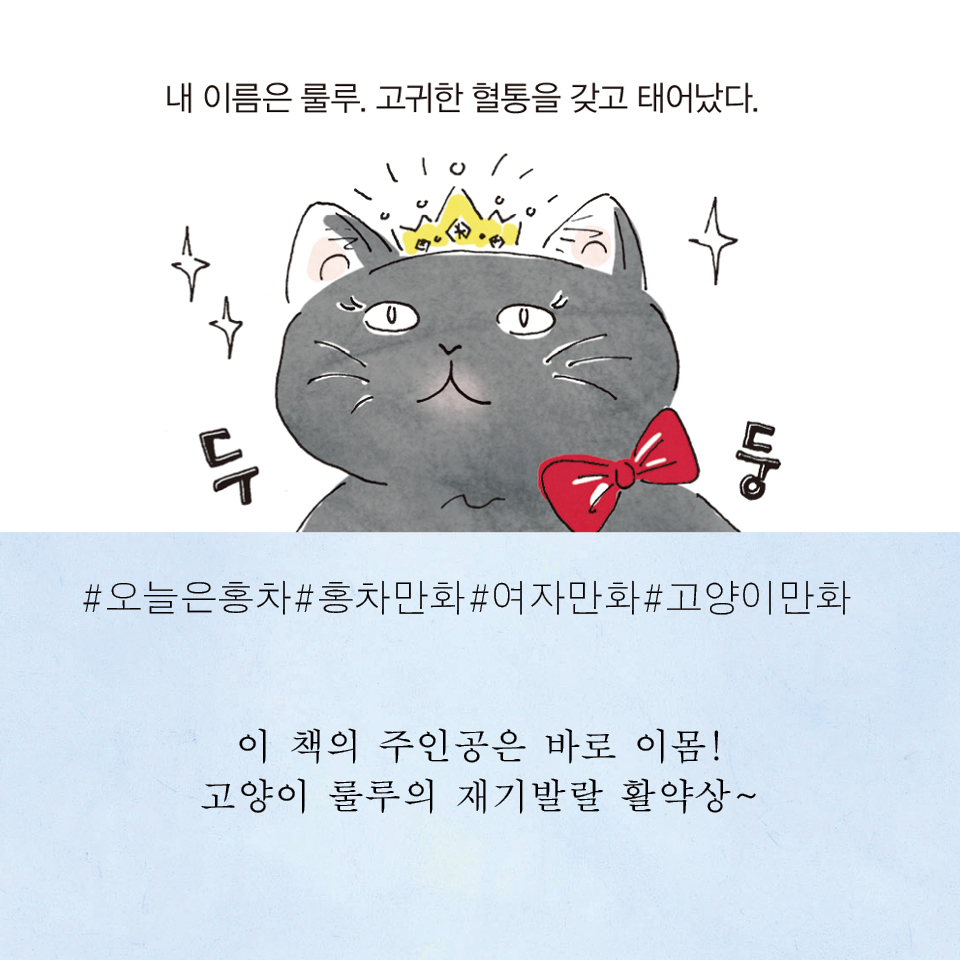 카드뉴스5