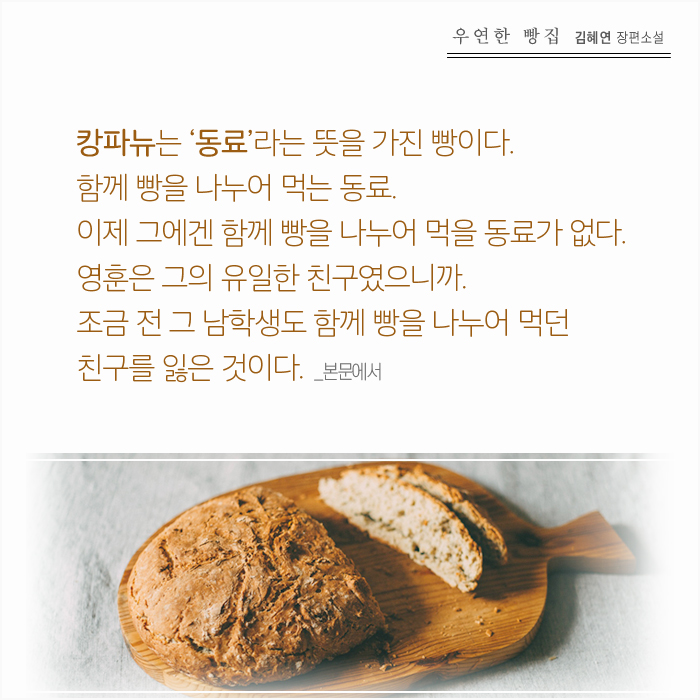 카드뉴스11