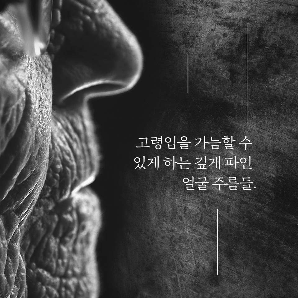 카드뉴스1