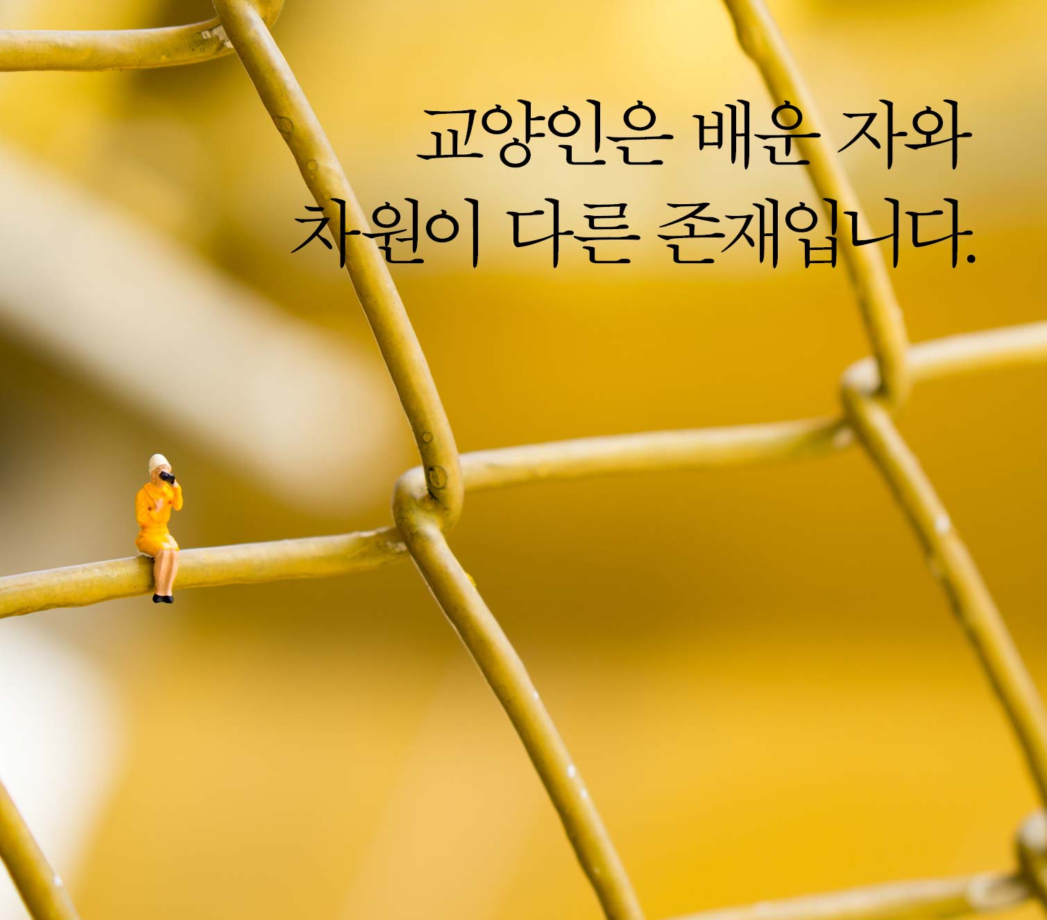 카드뉴스2