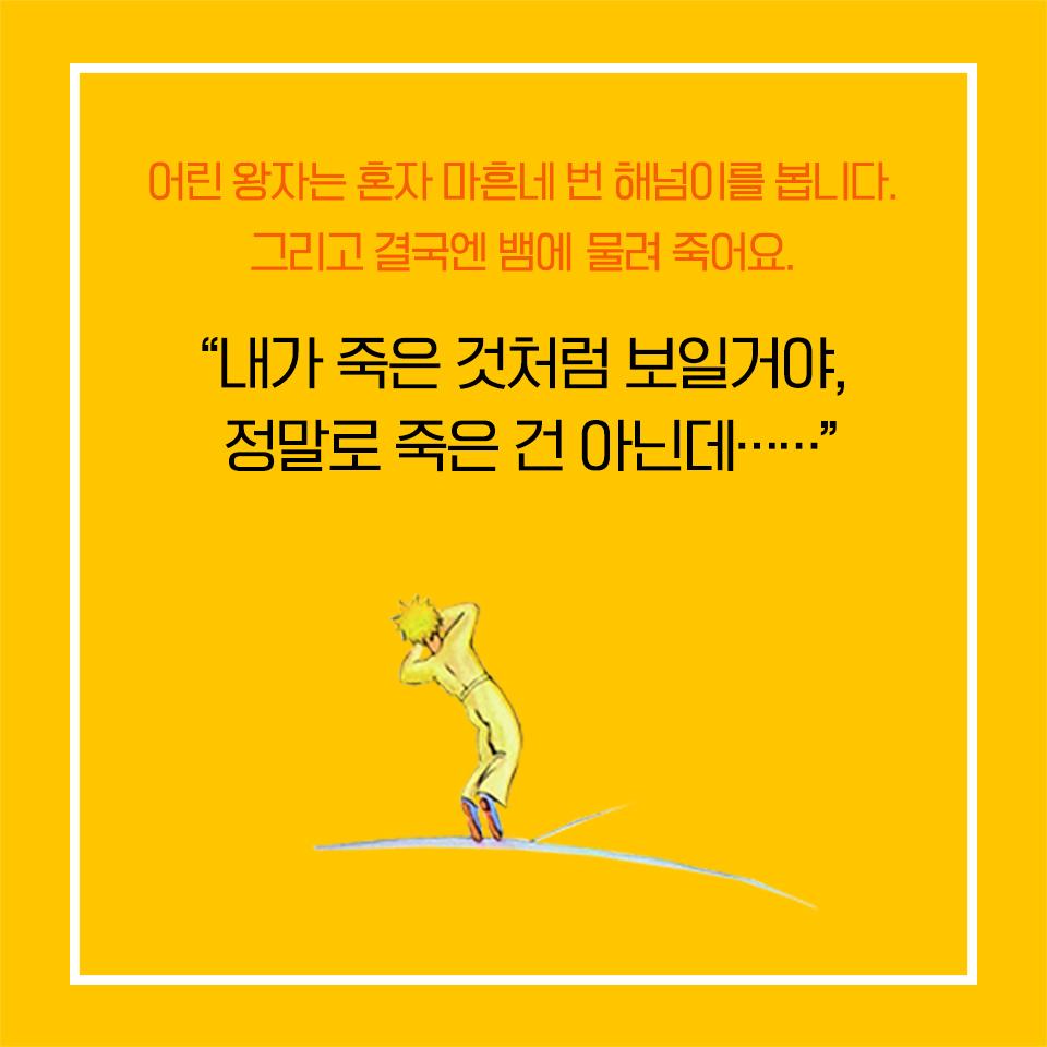 카드뉴스2