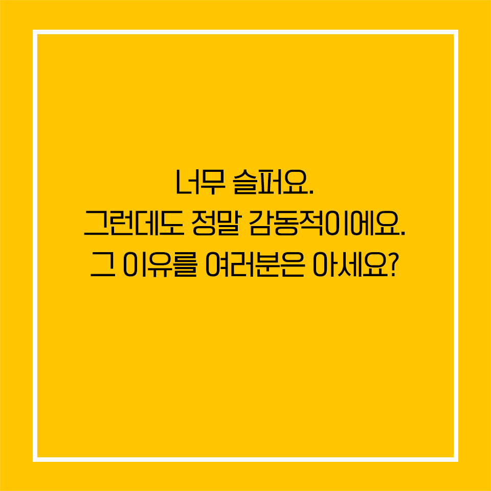 카드뉴스3