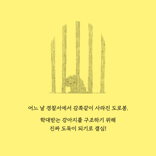 카드뉴스5