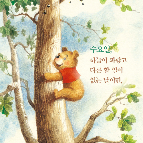 카드뉴스5
