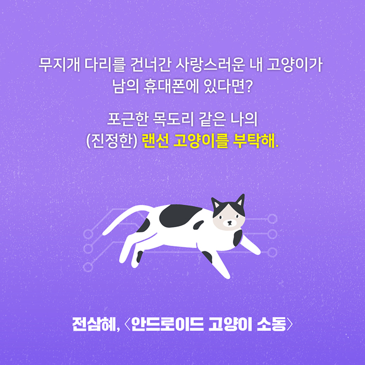 카드뉴스1